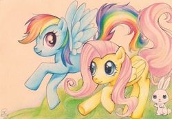 Size: 1129x781 | Tagged: safe, artist:sellue, angel bunny, fluttershy, rainbow dash, pegasus, pony, traditional art