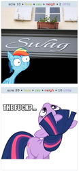 Size: 259x560 | Tagged: safe, rainbow dash, twilight sparkle, pegasus, pony, .mov, exploitable meme, hotdiggedydemon, juxtaposition, juxtaposition win, meta, ponies in real life, shed.mov, swag, vulgar, wtf