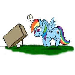 Size: 800x800 | Tagged: dead source, safe, artist:ichibangravity, rainbow dash, pegasus, pony, cardboard box, eyes on the prize, flying, food, it's a trap, solo, stick, string, sugar (food), sugarcube, trap (device)