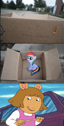 Size: 814x1584 | Tagged: safe, rainbow dash, pegasus, pony, arthur, d.w., dashie meme, evil people finding dash meme, exploitable meme, meme