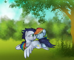 Size: 900x733 | Tagged: safe, artist:commypink, rainbow dash, soarin', pegasus, pony, female, male, shipping, soarindash, straight, tree