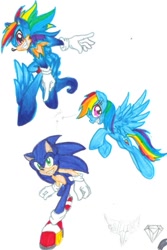 Size: 521x780 | Tagged: safe, artist:dgshadowchocolate, rainbow dash, crossover, fusion, rainic, sonic the hedgehog, sonic the hedgehog (series), traditional art