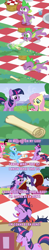 Size: 665x3366 | Tagged: safe, derpibooru import, edit, edited screencap, screencap, fluttershy, pinkie pie, rainbow dash, rarity, spike, twilight sparkle, dragon, earth pony, pegasus, pony, unicorn, a canterlot wedding, lesson zero, the cutie mark chronicles, afhv, afv, america's funniest home videos, caption, image macro, impact font, meme, picnic, scroll