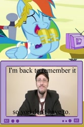 Size: 564x848 | Tagged: safe, rainbow dash, pegasus, pony, excited, exploitable meme, harsher in hindsight, nostalgia critic, tgwtg, tv meme