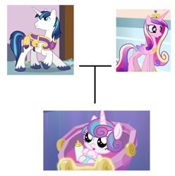 Size: 880x886 | Tagged: safe, princess cadance, princess flurry heart, shining armor, alicorn, pony, unicorn, canon, captain obvious, cradle, critical research failure, crown, diaper, family tree, jewelry, mind blown, regalia, trolling