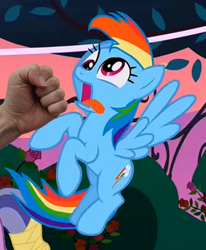 Size: 660x800 | Tagged: safe, edit, edited screencap, screencap, rainbow dash, pegasus, pony, abuse, dashabuse, derp, female, fist, mare, punch