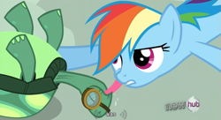 Size: 765x417 | Tagged: safe, screencap, rainbow dash, tank, pegasus, pony, just for sidekicks, licking, youtube caption