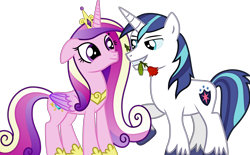 Size: 2546x1580 | Tagged: artist needed, safe, princess cadance, shining armor, alicorn, pony, unicorn, bedroom eyes, cute, female, flower, looking at each other, male, rose, rose in mouth, shiningcadance, shipping, simple background, smiling, straight, transparent background, vector