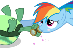 Size: 1295x865 | Tagged: safe, artist:canon-lb, rainbow dash, tank, pegasus, pony, just for sidekicks, absurd resolution, simple background, transparent background, vector