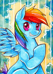 Size: 500x696 | Tagged: safe, artist:greyradian, rainbow dash, pegasus, pony, female, mare, raised hoof, smiling, solo, spread wings, wings