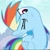 Size: 954x960 | Tagged: safe, screencap, rainbow dash, pegasus, pony, the mysterious mare do well, blue coat, female, mare, multicolored mane