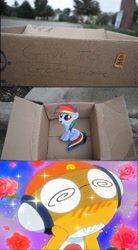 Size: 497x900 | Tagged: safe, rainbow dash, pegasus, pony, dashie meme, evil people finding dash meme, exploitable meme, implied foalcon, keroro, kururu, sergeant frog