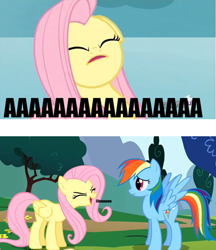 Size: 500x578 | Tagged: safe, fluttershy, rainbow dash, pegasus, pony, achoo, cute, eyes closed, frown, open mouth, smiling, sneezing, spread wings