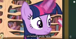 Size: 843x432 | Tagged: safe, derpibooru import, screencap, owlowiscious, twilight sparkle, twilight sparkle (alicorn), alicorn, testing testing 1-2-3, chalk, chalkboard, golden oaks library, meme, youtube caption