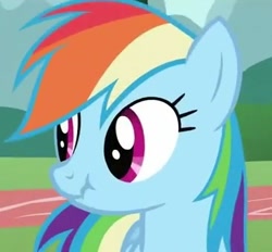 Size: 366x340 | Tagged: safe, rainbow dash, pegasus, pony, blue coat, female, mare, multicolored mane, scrunchy face