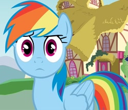 Size: 961x828 | Tagged: safe, rainbow dash, pegasus, pony, blue coat, female, mare, multicolored mane, reaction image, stare