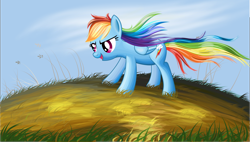 Size: 5277x3000 | Tagged: safe, artist:tgolyi, rainbow dash, pegasus, pony, absurd resolution, solo, windswept mane
