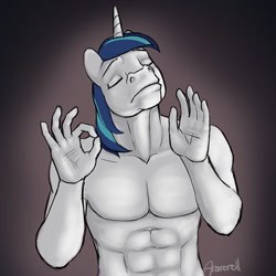 Size: 500x500 | Tagged: safe, artist:arareroll, shining armor, anthro, abs, eyes closed, male, meme, signature, solo, the emperor's new groove, when x just right