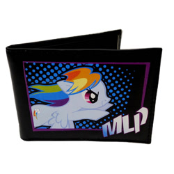 Size: 1000x1000 | Tagged: safe, rainbow dash, pegasus, pony, merchandise, official, toys r us, wallet