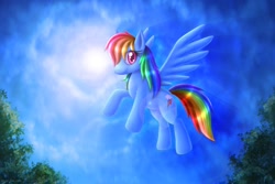 Size: 1920x1280 | Tagged: safe, artist:mylafox, rainbow dash, pegasus, pony, detailed background, female, mare, solo