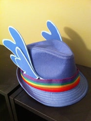 Size: 500x670 | Tagged: safe, rainbow dash, blue wings, hat, irl, no pony, photo, rainbow, trilby, wings