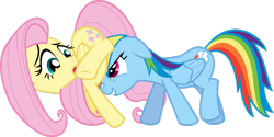 Size: 1024x511 | Tagged: safe, fluttershy, rainbow dash, pegasus, pony, simple background, transparent background, vector