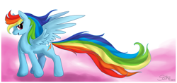 Size: 1280x603 | Tagged: safe, artist:black-namer, rainbow dash, pegasus, pony, blue coat, female, mare, multicolored mane, windswept mane