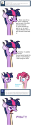 Size: 514x2046 | Tagged: safe, derpibooru import, pinkie pie, twilight sparkle, earth pony, pony, unicorn, ask hydra mane 6, duo, female, mare, tumblr