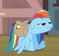 Size: 465x444 | Tagged: safe, screencap, rainbow dash, pegasus, pony, games ponies play, bag, saddle bag, solo