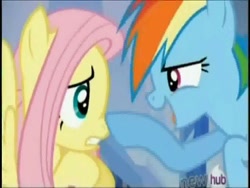 Size: 384x288 | Tagged: safe, fluttershy, rainbow dash, pegasus, pony, games ponies play, boop, female, mare, wings