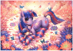 Size: 1362x956 | Tagged: safe, artist:emperpep, derpibooru import, twilight sparkle, twilight sparkle (alicorn), alicorn, butterfly, pony, blushing, clothes, commission, doll, female, flower, mare, petals, plushie, prone, smiling, socks, solo, striped socks, toy, traditional art, watercolor painting