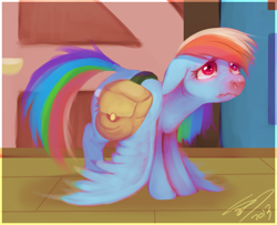 Size: 715x580 | Tagged: safe, artist:imalou, rainbow dash, pegasus, pony, sad, saddle bag, solo