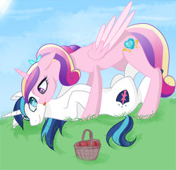 Size: 1748x1695 | Tagged: safe, artist:lisa400, derpibooru exclusive, princess cadance, shining armor, alicorn, pony, unicorn, basket, cute, female, licking, looking at each other, lying down, male, married couple, picnic basket, shiningcadance, shipping, straight, tongue out