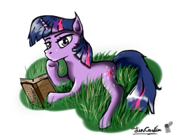 Size: 537x419 | Tagged: safe, artist:tincantim, derpibooru import, twilight sparkle, book, bored, grass, prone, solo