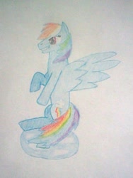 Size: 480x640 | Tagged: safe, artist:dragoon, rainbow dash, pegasus, pony, blue coat, female, mare, multicolored mane