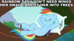 Size: 1920x1080 | Tagged: safe, screencap, rainbow dash, pegasus, pony, animation error, image macro, swag, text