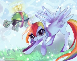 Size: 1007x793 | Tagged: safe, artist:passionatestar, rainbow dash, tank, pegasus, pony, tortoise, female, goggles, male, mare