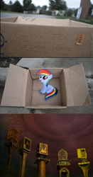 Size: 616x1180 | Tagged: safe, rainbow dash, pegasus, pony, fanfic:my little dashie, allied mastercomputer, crossover, dashie meme, evil people finding dash meme, exploitable meme, filly, i have no mouth and i must scream