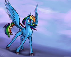 Size: 1704x1366 | Tagged: safe, artist:idriaka, rainbow dash, pegasus, pony, female, gradient background, mare, solo