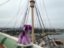 Size: 1280x960 | Tagged: safe, artist:pmbsakura37, derpibooru import, twilight sparkle, california, irl, long beach, photo, plushie, rms queen mary