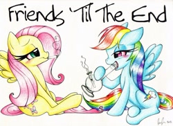 Size: 960x697 | Tagged: safe, artist:prettypinkpony, fluttershy, rainbow dash, pegasus, pony, bong, drugs, flutterhigh, flutterjoint, high, marijuana