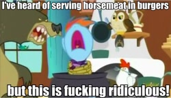 Size: 960x554 | Tagged: safe, edit, edited screencap, screencap, harry, rainbow dash, bear, chicken, owl, pegasus, pony, magical mystery cure, 2013 horsemeat scandal, caption, cauldron, horsemeat, image macro, peril, pony as food, rope, text, tied up, vulgar