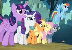 Size: 1524x1065 | Tagged: safe, derpibooru import, screencap, applejack, fluttershy, maud pie, rainbow dash, rarity, twilight sparkle, twilight sparkle (alicorn), alicorn, earth pony, pegasus, pony, unicorn, maud pie (episode), female, mare