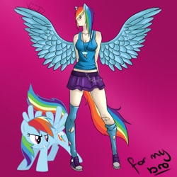 Size: 894x894 | Tagged: safe, artist:veerlez, rainbow dash, converse, eared humanization, humanized, shoes, tailed humanization, winged humanization