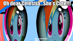 Size: 1280x720 | Tagged: safe, screencap, rainbow dash, pegasus, pony, magical mystery cure, caption, eyes, meme, out of context, reflection, selfcest