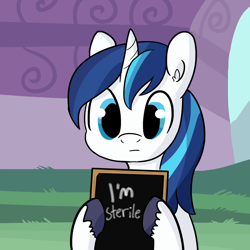 Size: 1650x1650 | Tagged: safe, artist:tjpones, shining armor, pony, unicorn, :, fun couples game meme, holding sign, implied cheating, infertility, juxtaposition, looking at you, male, sign, solo, unshorn fetlocks