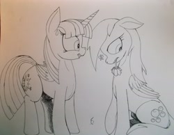 Size: 4141x3216 | Tagged: safe, artist:scribblepwn3, derpibooru import, derpy hooves, twilight sparkle, twilight sparkle (alicorn), alicorn, pegasus, pony, awkward, female, heartbreak, lesbian, monochrome, pen drawing, rejection, shipping, shipping denied, traditional art, twerpy