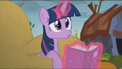 Size: 1920x1080 | Tagged: safe, derpibooru import, screencap, twilight sparkle, twilight sparkle (alicorn), alicorn, pony, the hooffields and mccolts, book, discovery family logo, female, haystack, magic, mare