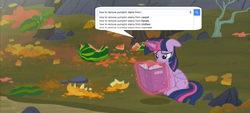 Size: 1920x870 | Tagged: safe, derpibooru import, edit, screencap, twilight sparkle, twilight sparkle (alicorn), alicorn, pony, the hooffields and mccolts, female, google, image macro, mare, meme, solo