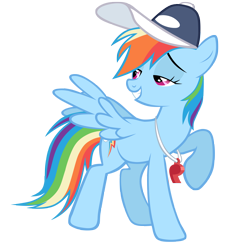 Size: 4000x4000 | Tagged: safe, artist:stormius, rainbow dash, pegasus, pony, baseball cap, cap, female, hat, mare, raised hoof, simple background, solo, transparent background, vector, whistle